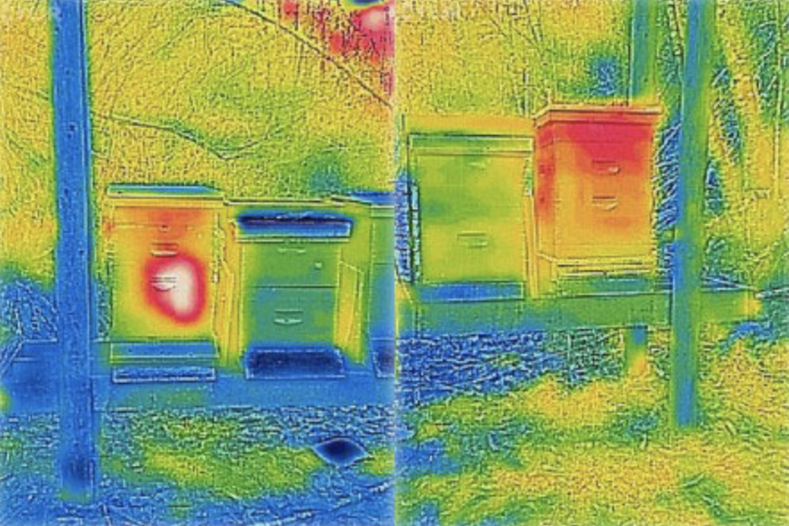 Screenshot 2020 05 07 10.37.43